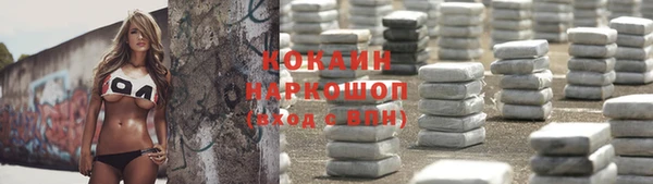винт Алзамай