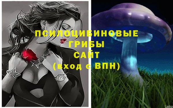 тгк Абдулино