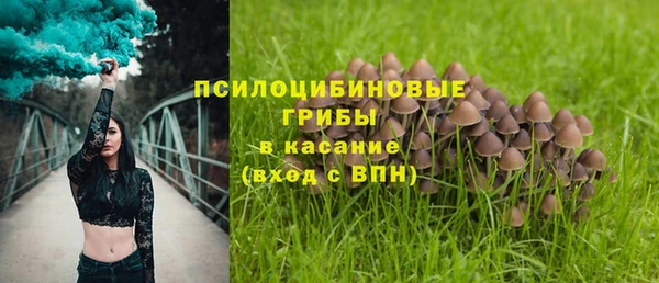 круглые Алексин