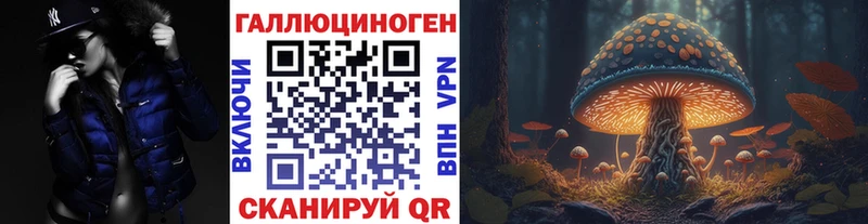 Псилоцибиновые грибы мицелий Терек